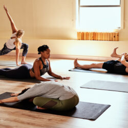 Private & Group Lessons